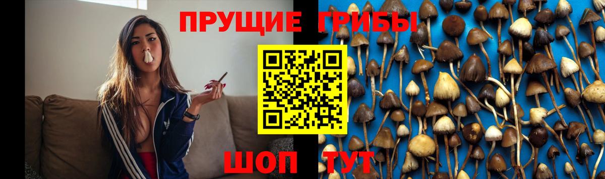 Галлюциногенные грибы Cubensis  Вход с VPN  Шали 